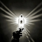 Eagle Shaped Wall Lamp